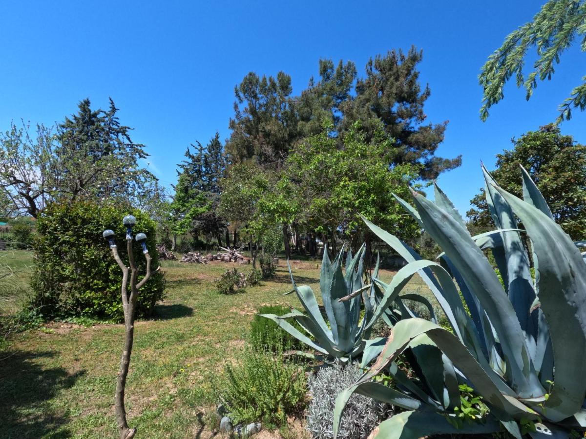 Pond And Pines, By Nice House By The Sea! Επανωμή Εξωτερικό φωτογραφία