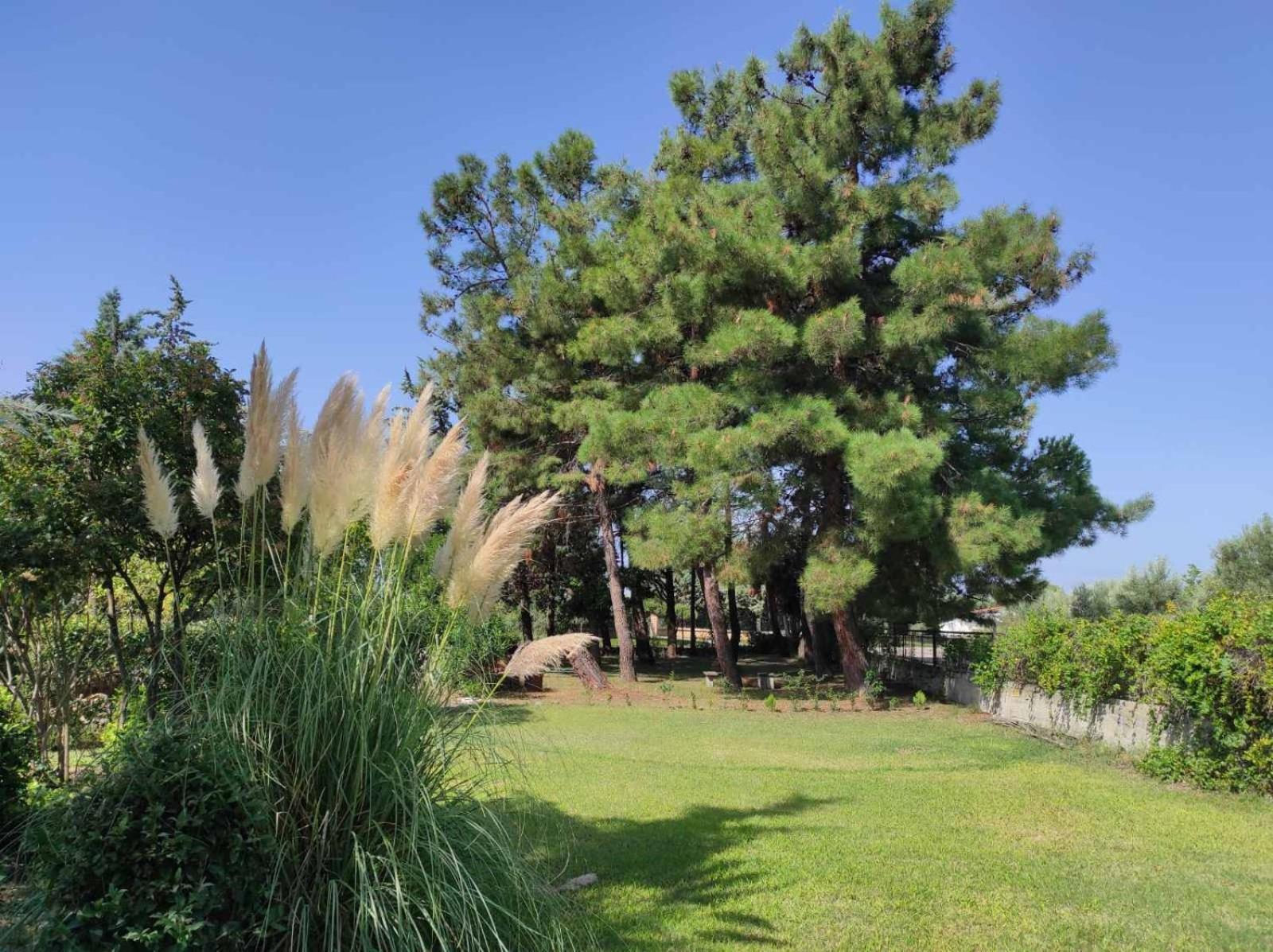Pond And Pines, By Nice House By The Sea! Επανωμή Εξωτερικό φωτογραφία