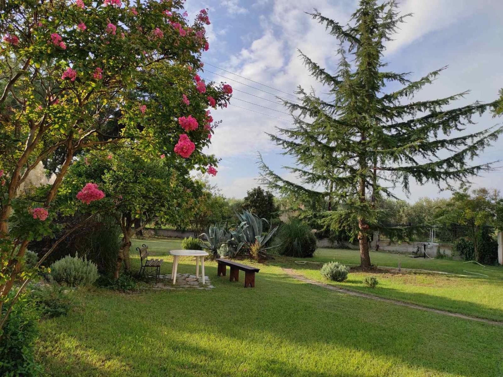 Pond And Pines, By Nice House By The Sea! Επανωμή Εξωτερικό φωτογραφία